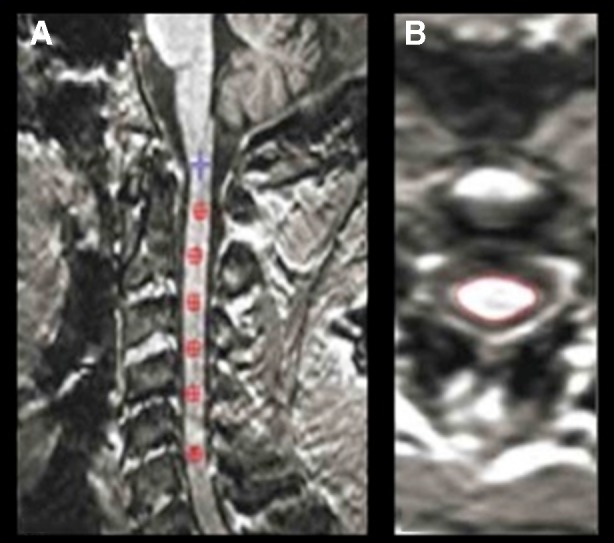 Fig. 2