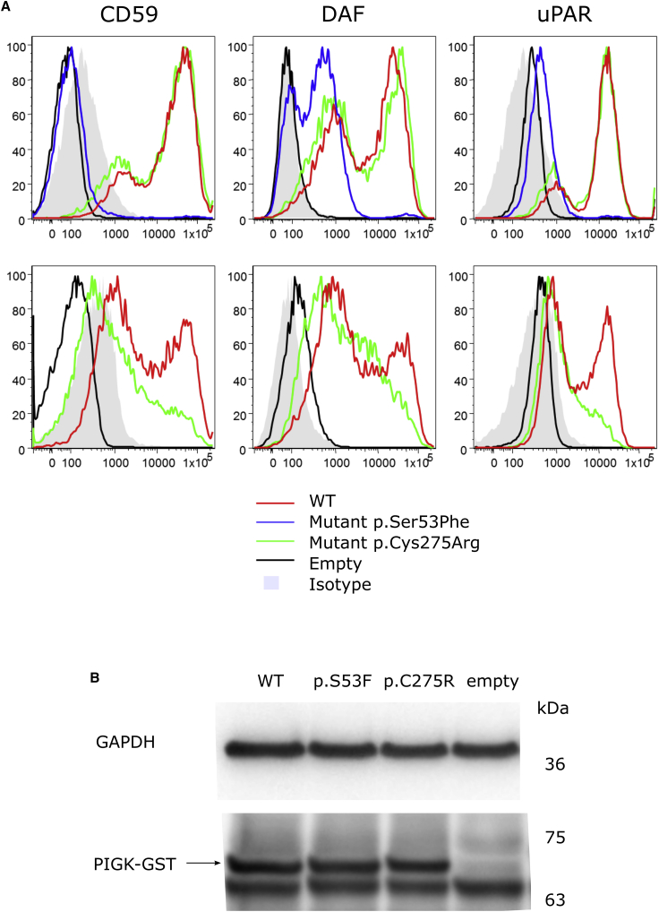 Figure 6