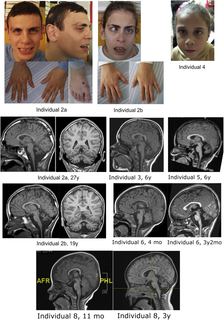 Figure 2