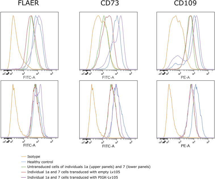 Figure 5