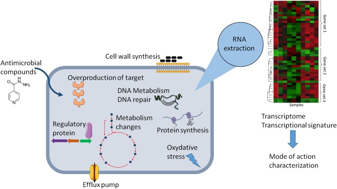 FIGURE 1