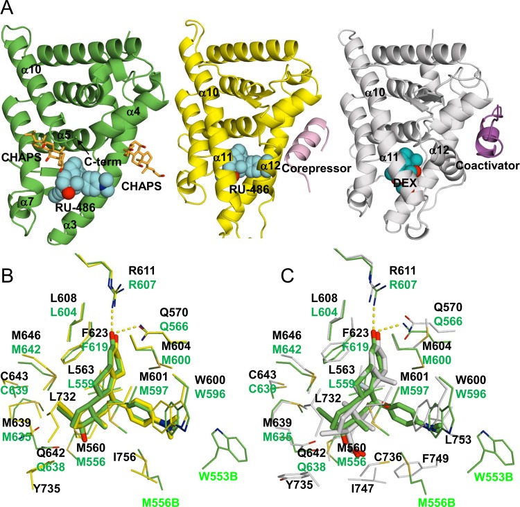 FIG 6