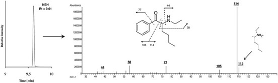 Figure 2.