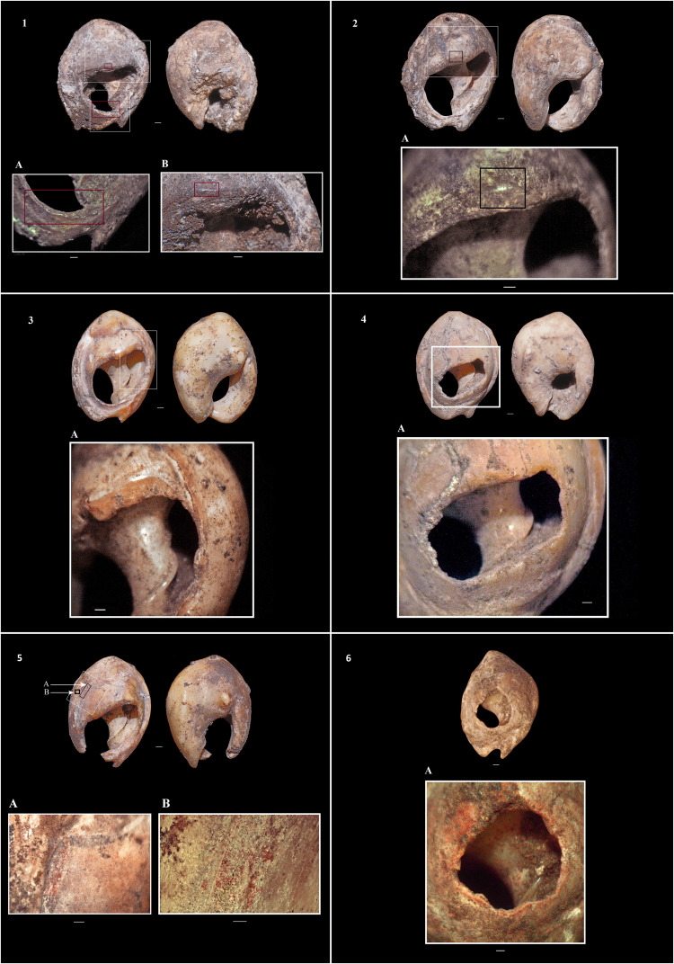 Fig. 6.