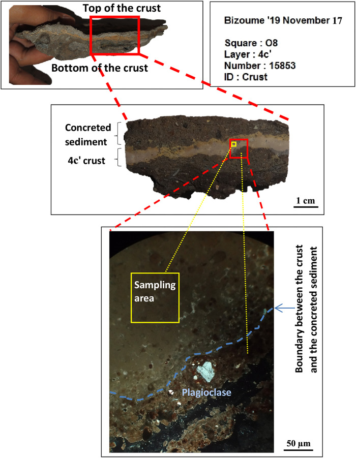 Fig. 8.