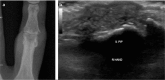 Figure 5. a, b.