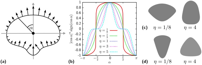 Fig 5