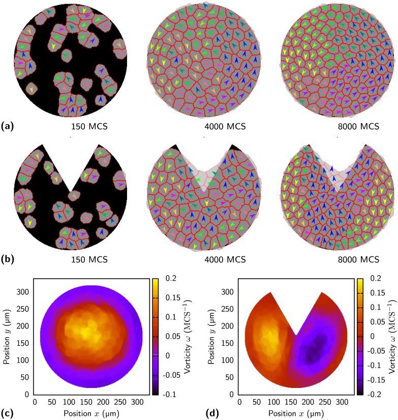 Fig 10