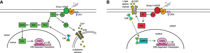 Figure 1