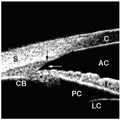 Fig. 10