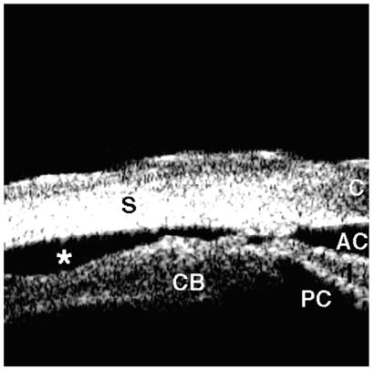 Fig. 11