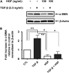 <b>Figure 4.</b>