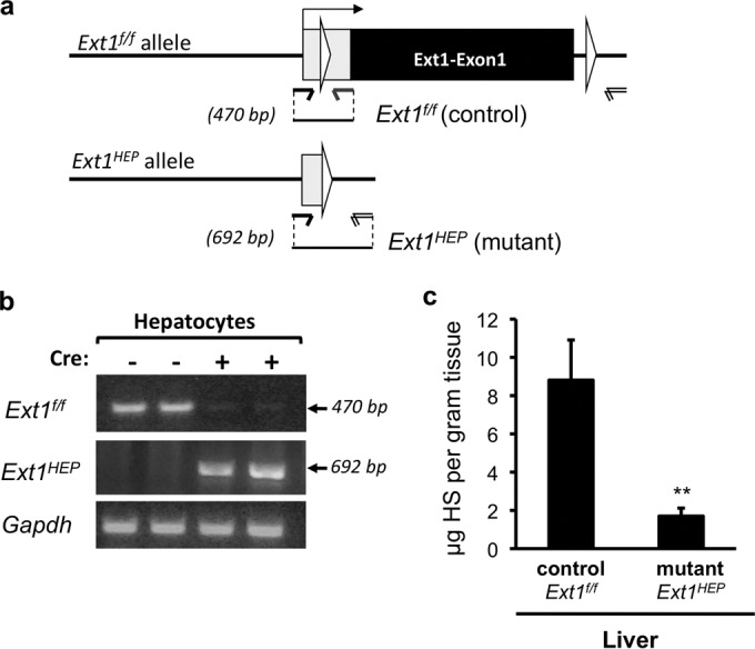 FIG 1