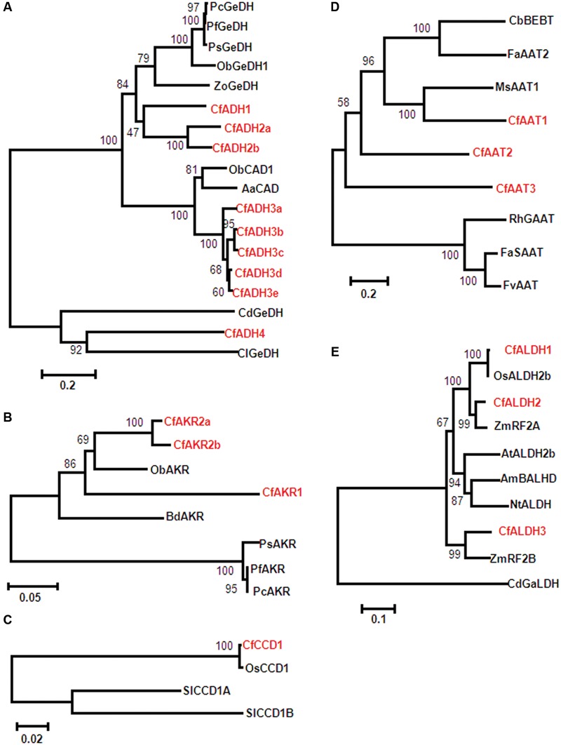 FIGURE 3