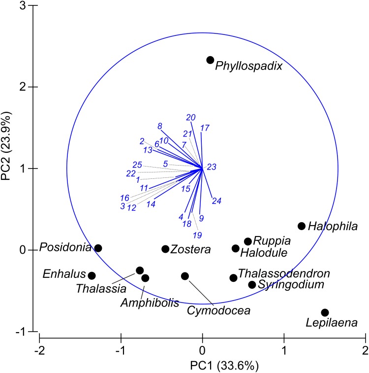 Fig 5