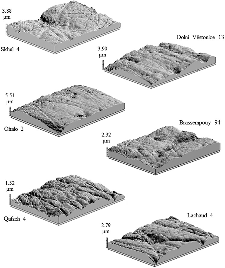 Fig 1
