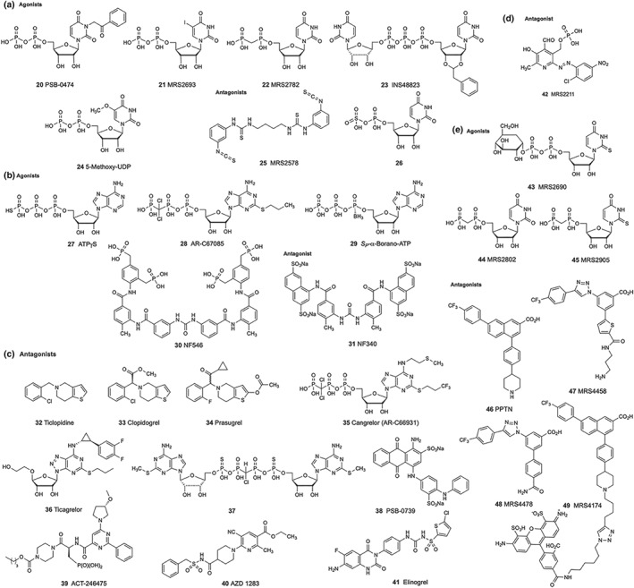 FIGURE 2