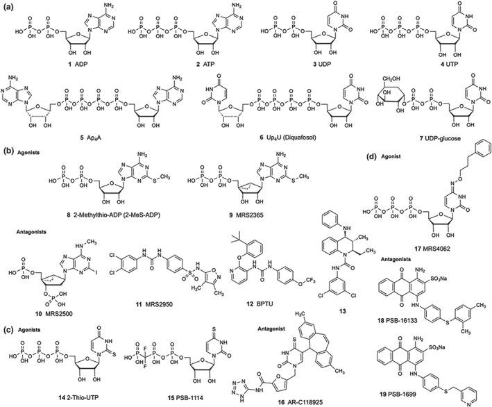 FIGURE 1