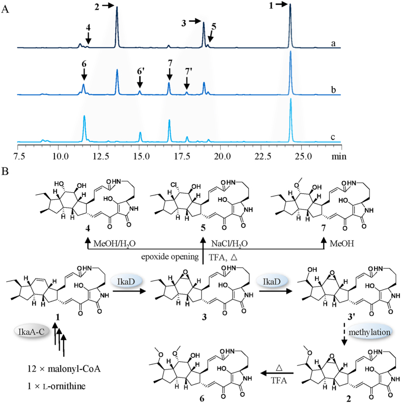 Figure 5