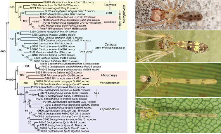 Figure 11.