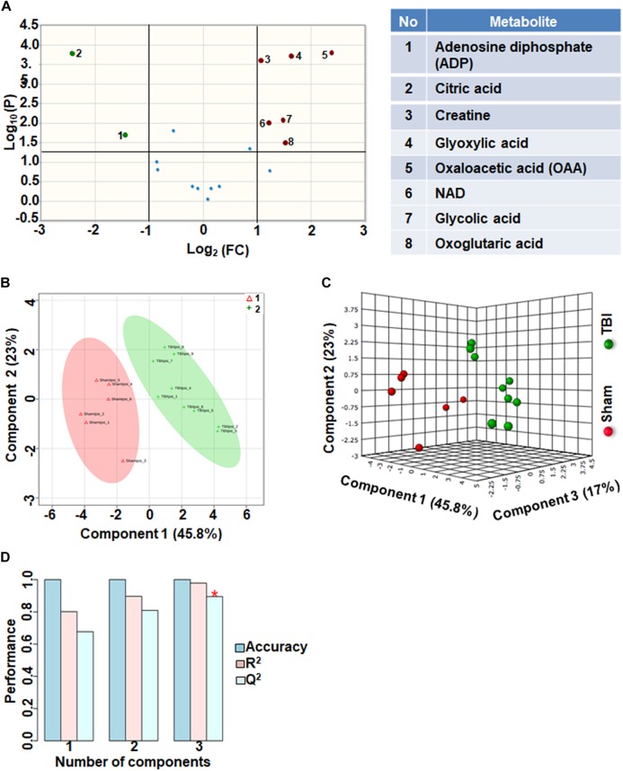 FIGURE 1