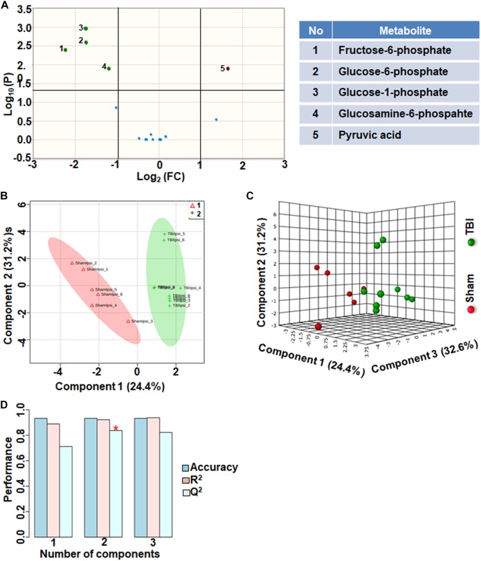 FIGURE 4