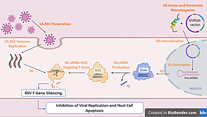 graphic file with name 12985_2024_2519_Figa_HTML.jpg
