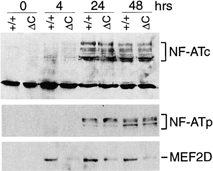 Figure 5.