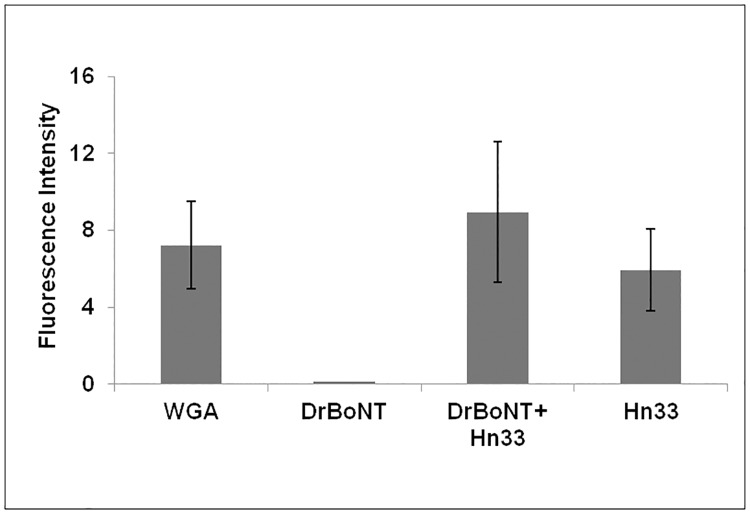 Fig 5