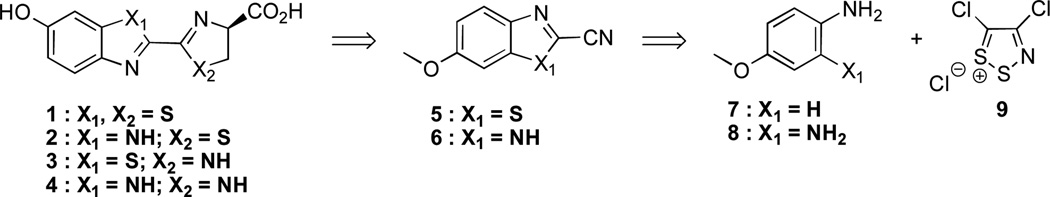 Scheme 1