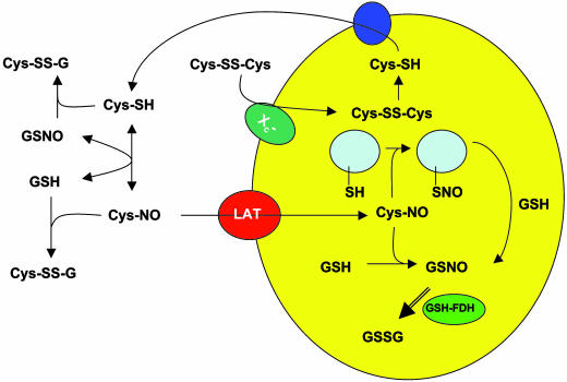 Scheme 1.