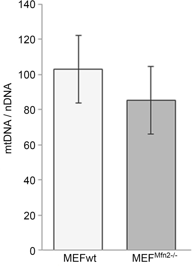 Fig 10