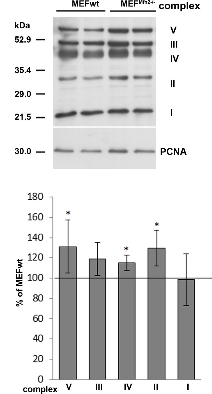 Fig 7