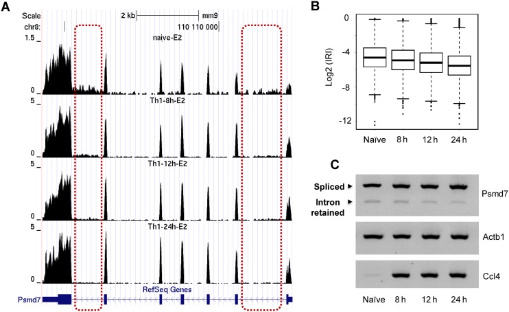 Figure 6.