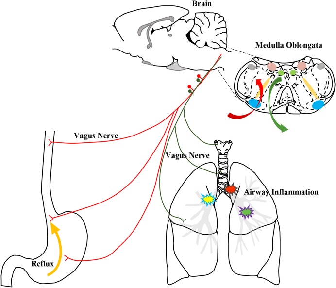 FIGURE 11