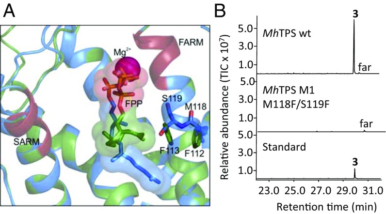 Fig. 6.