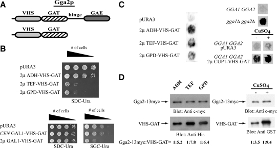 Figure 4.