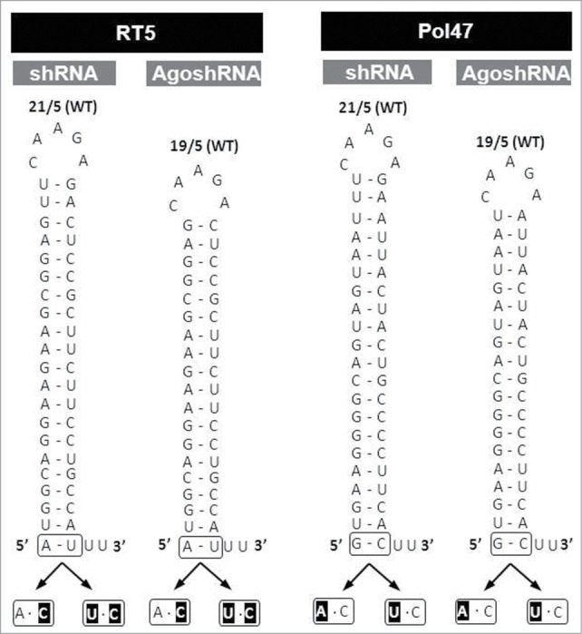 Figure 5.