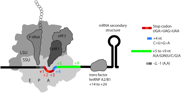 Figure 2.