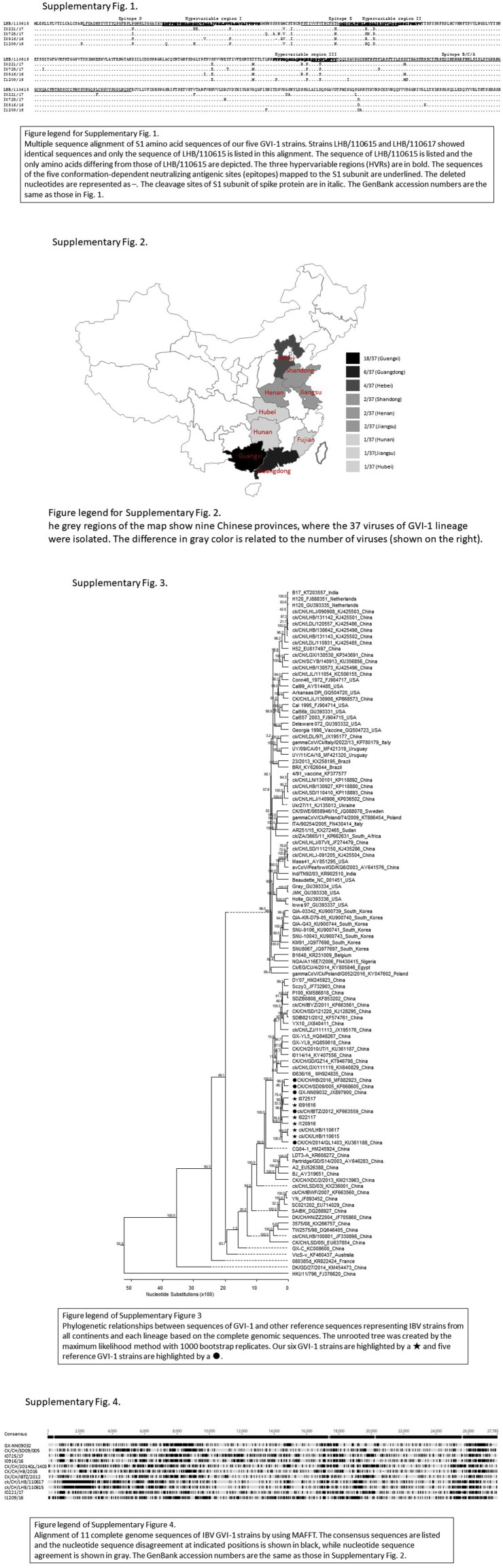 Supplementary Fig. 1