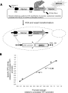 FIG. 3.