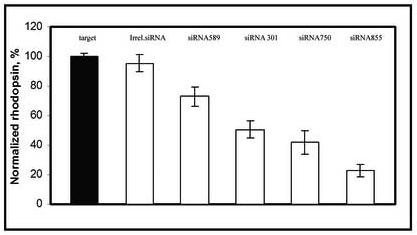 Fig.1