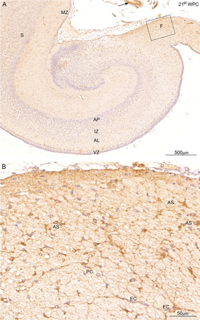 Figure 10.