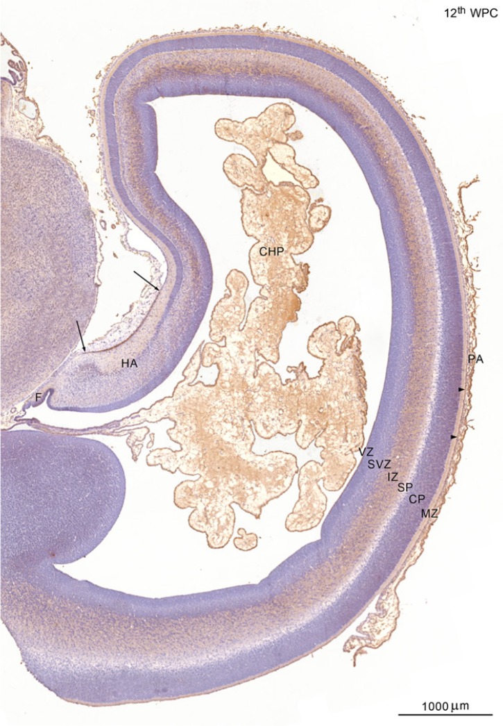 Figure 3.