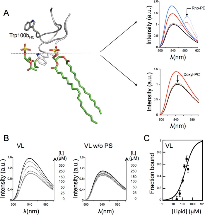 FIGURE 5.