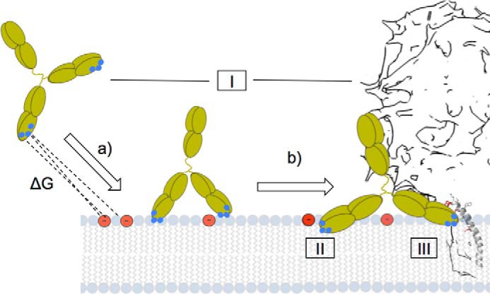 FIGURE 9.