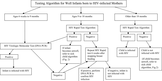 Fig. (1).Age-Stratified diagnostic pathways for well infants known to be HIV-exposed. 