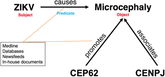 Fig. 8.