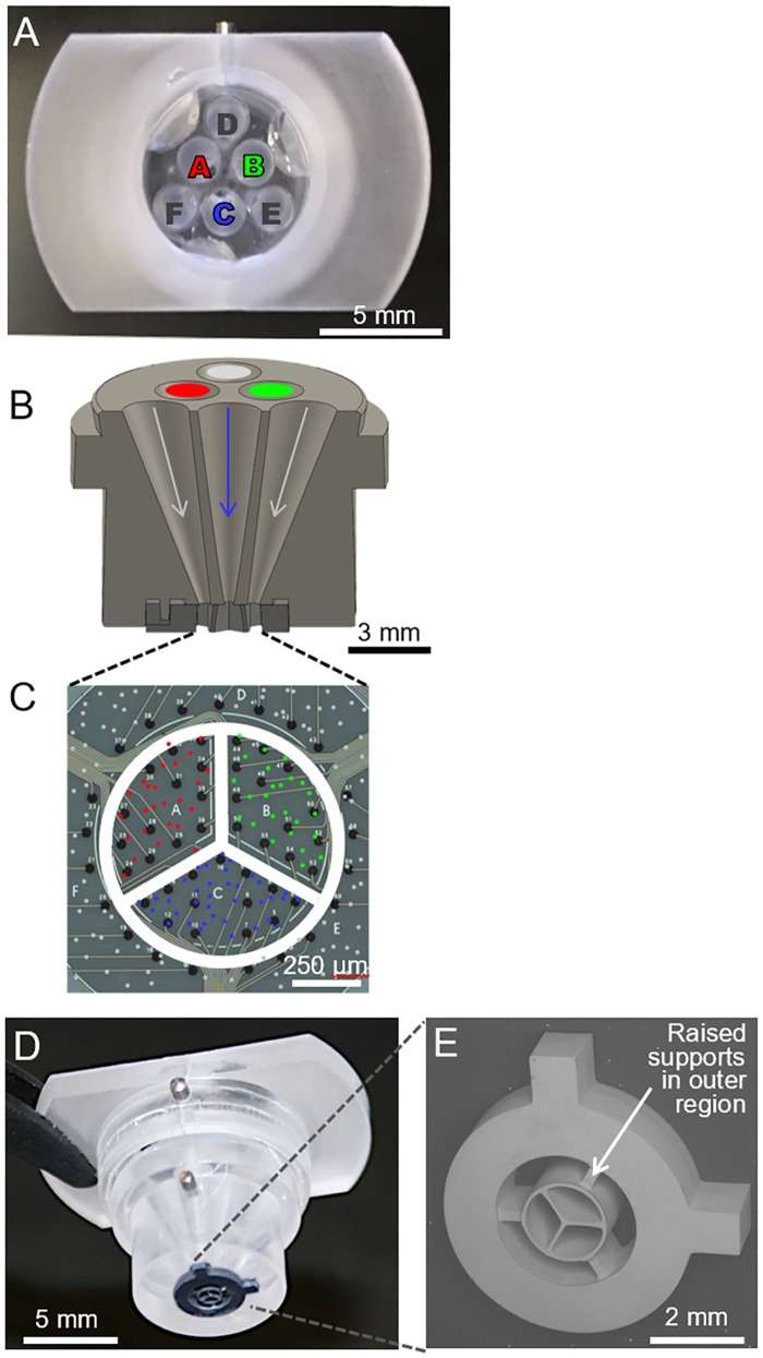 Fig 3