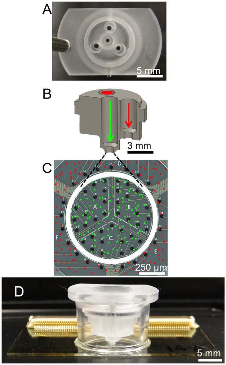 Fig 2